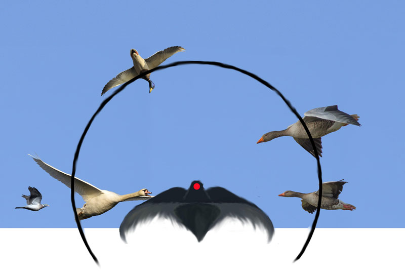 Visier mit Anflug montiert Visier mit Anflug montiert