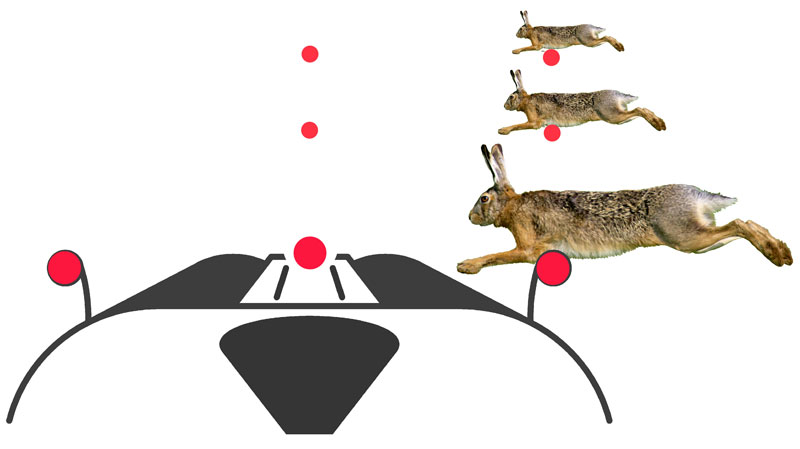 Drei Hasen mit dreidot und Flinte Drei Hasen mit dreidot und Flinte