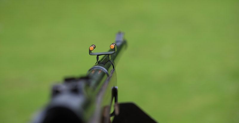 Büchsenflüchtigvisier Wolf