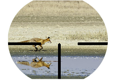 Fuchs durch angepasstes Zielfernrohr Fuchs durch angepasstes Zielfernrohr