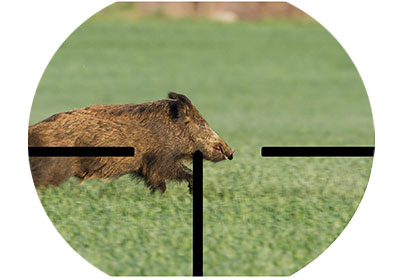 Sau durch angepasstes Zielfernrohr Sau durch angepasstes Zielfernrohr