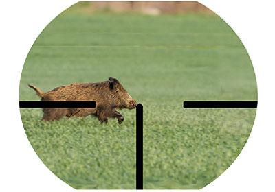 Sau durch angepasstes Zielfernrohr Sau durch angepasstes Zielfernrohr