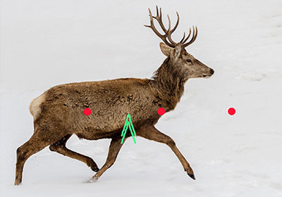 Rothirsch, eiliger Troll, halber Vorhalt, Projektion 100% Rothirsch, eiliger Troll, halber Vorhalt, Projektion 100%